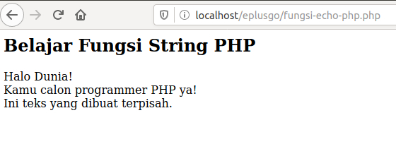 Fungsi echo PHP